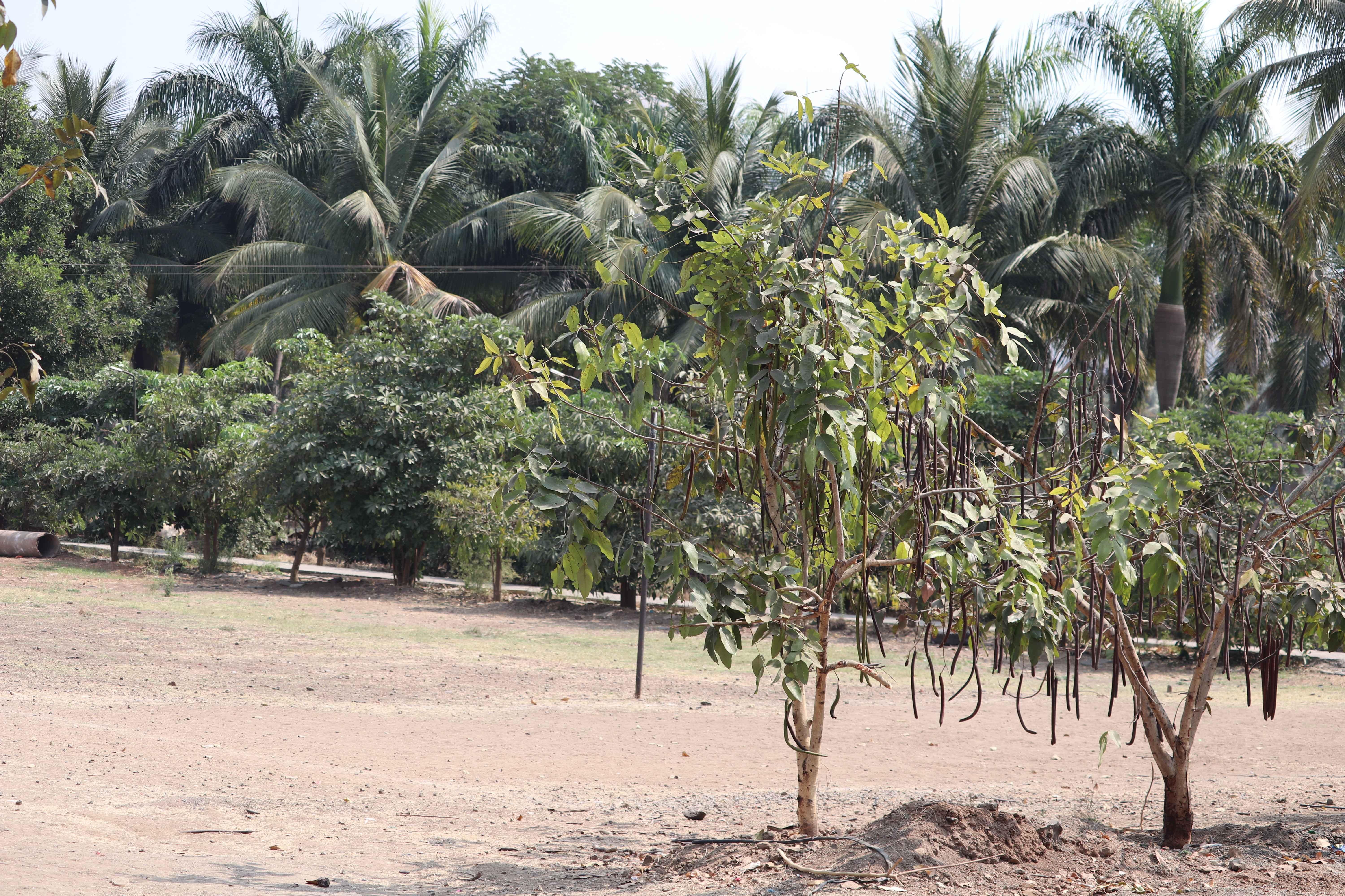 Abhaysinhraje Bhonsle Institute of Technology Satara Campus photo 8